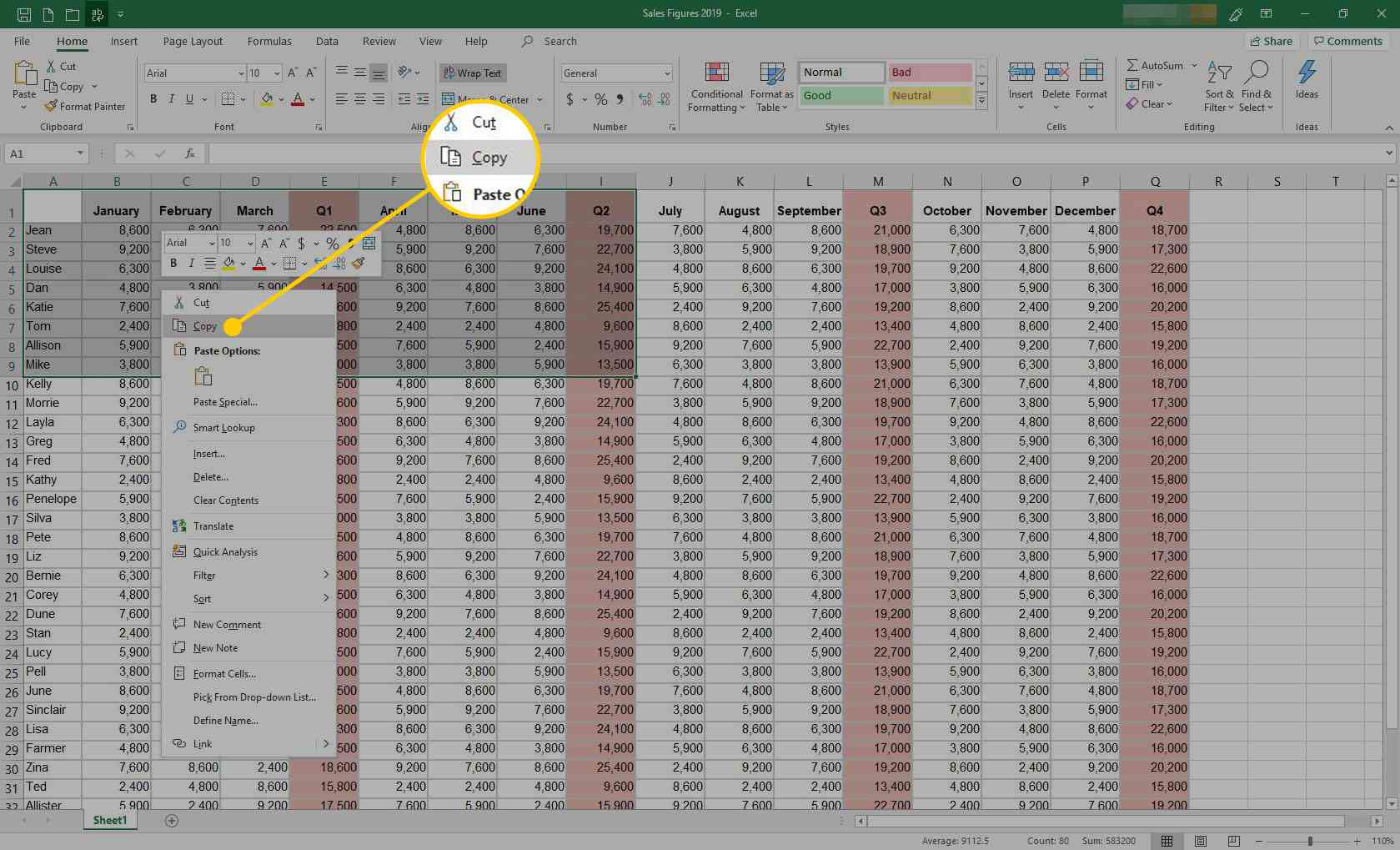 embed data in excel for mac